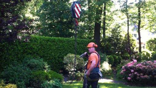 Bomen rooien Doenrade